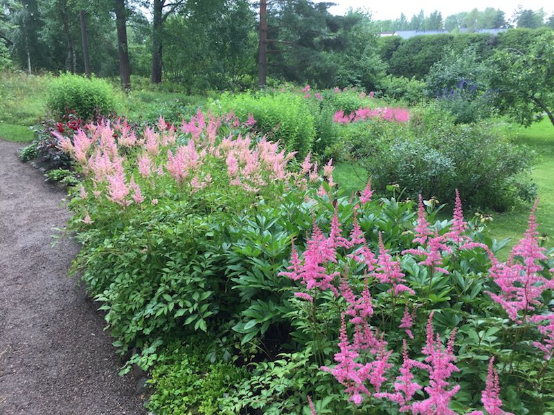 Jardines del entorno en el que se encuentra Ainola