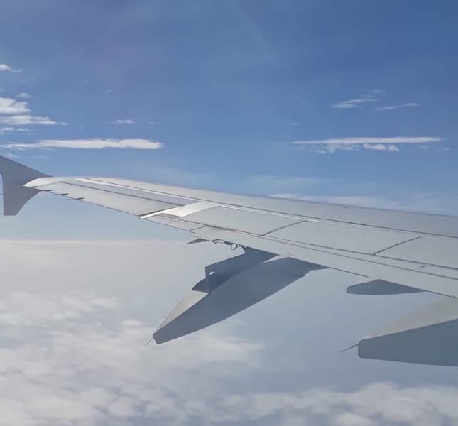 El impacto de un ave causa daños en un avión de Iberia