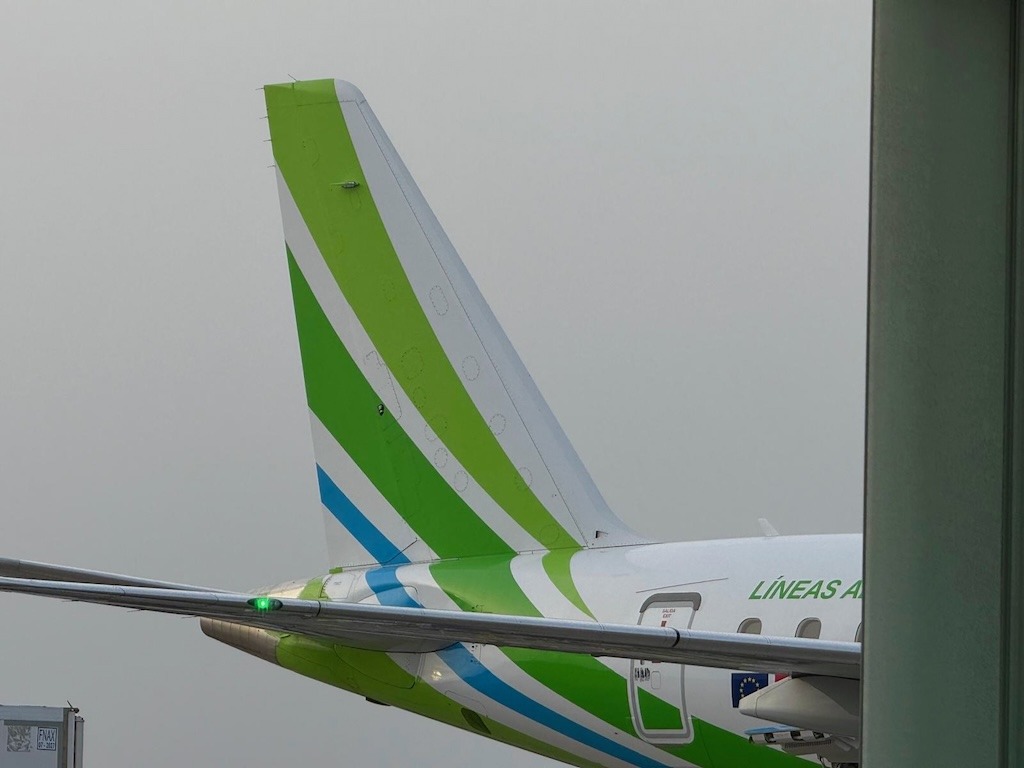 Un “perrete revoltoso” se escapa de su transportín y obliga a un avión de Binter a regresar a Gran Canaria