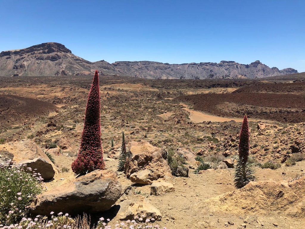 El IGN localiza un nuevo repunte de 60 microsismos al oeste de Las Cañadas del Teide